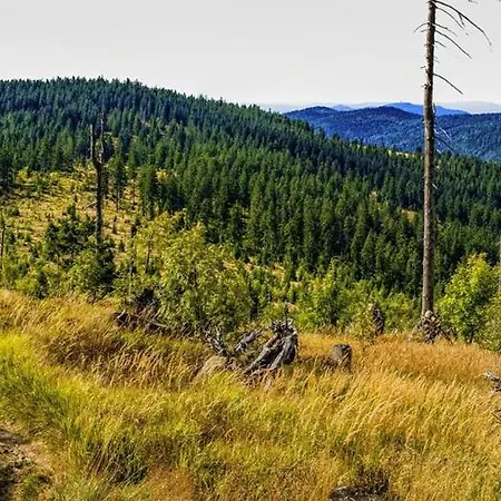 Apartament Am Seebach'l